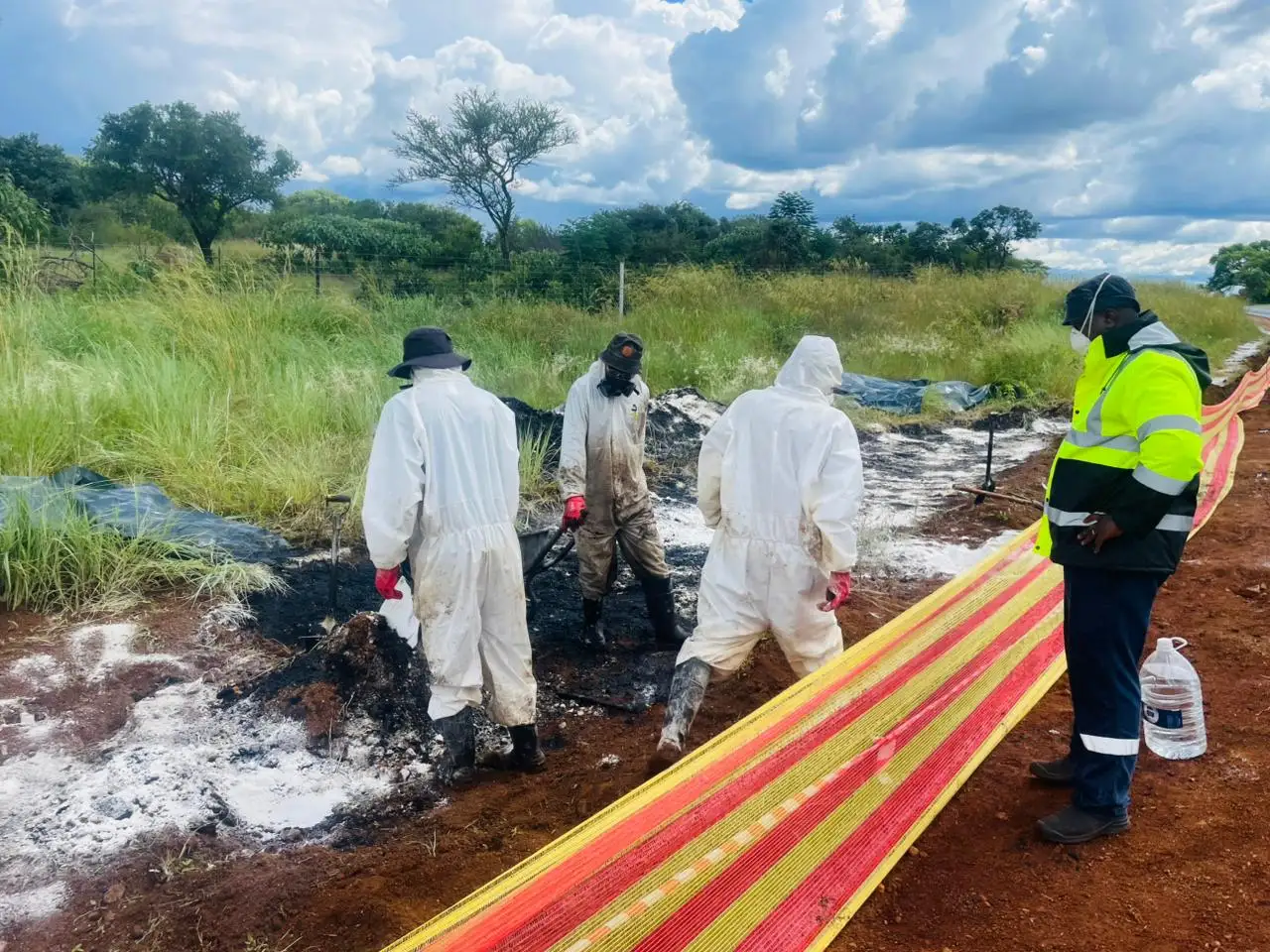 Pristine lake and forest landscape